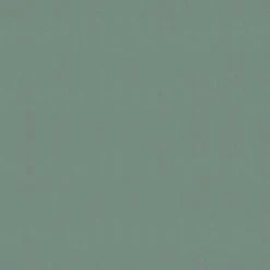 Superfresco Easy Vliesbehang Uni Groen 100559