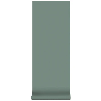 Superfresco Easy Vliesbehang Uni Groen 100559 4 Superfresco Easy Vliesbehang Uni Groen 100559 - Afbeelding 4