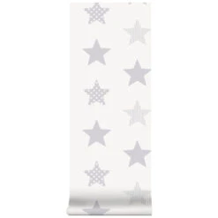 Superfresco Easy Vliesbehang Superster Zilver 100111 -Superfresco Easy Behang Exporteren Winkel 123 812