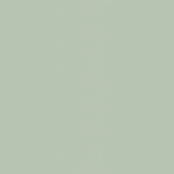 Superfresco Easy Vliesbehang Uni Groen 101818 1 Superfresco Easy Vliesbehang Uni Groen 101818