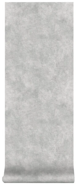 Superfresco Easy Vliesbehang Beton Cire Middengrijs (dessin 106989) 9 Superfresco Easy Vliesbehang Beton Cire Middengrijs (dessin 106989) -Superfresco Easy Behang Exporteren Winkel 41 1027