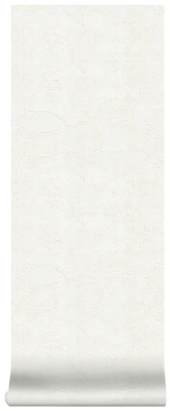 Superfresco Easy Vliesbehang Stuc Strepen 15 M (dessin 103999) -Superfresco Easy Behang Exporteren Winkel 41 1069