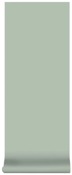 Superfresco Easy Vliesbehang Uni Groen (dessin 2258-50) -Superfresco Easy Behang Exporteren Winkel 41 1215
