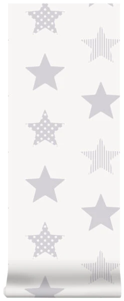 Superfresco Easy Vliesbehang Superster Zilver (dessin 100111) -Superfresco Easy Behang Exporteren Winkel 41 1382