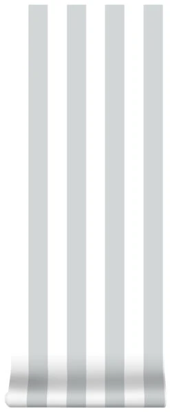 Superfresco Easy Vliesbehang Strepen Zilver (dessin 100100) -Superfresco Easy Behang Exporteren Winkel 41 256