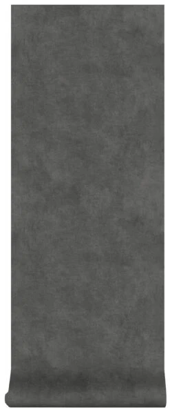 Superfresco Easy Vliesbehang Beton Cire Donkergrijs (dessin 106992) -Superfresco Easy Behang Exporteren Winkel 41 513