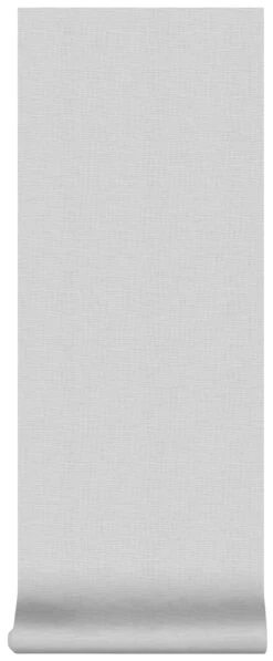 Superfresco Easy Vliesbehang Uni Grijs (dessin 101812) -Superfresco Easy Behang Exporteren Winkel 41 766