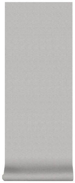 Superfresco Easy Vliesbehang Lynn Zilver Grijs (dessin 103445) -Superfresco Easy Behang Exporteren Winkel 41 888