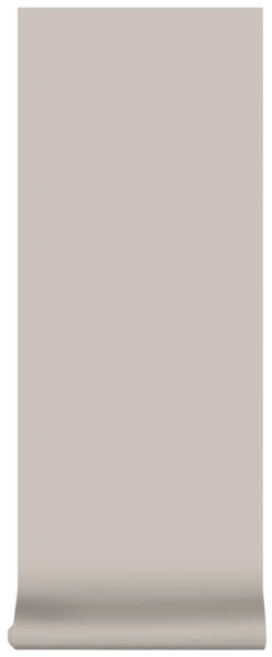 Superfresco Easy Vliesbehang Uni Taupe (dessin 2258-20) -Superfresco Easy Behang Exporteren Winkel 41 929